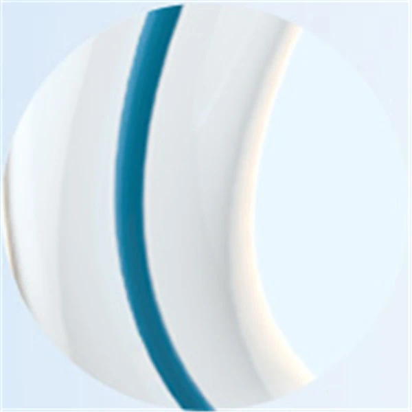 Paclitaxel Coated-PTCA Balloon Catheter (3)
